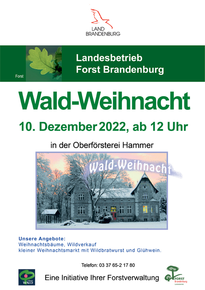 Waldweihnacht am 10. Dezember, Schenkenländchen